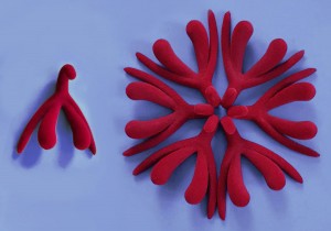 Weiche Klitorismodelle in Bordeaux-Rot